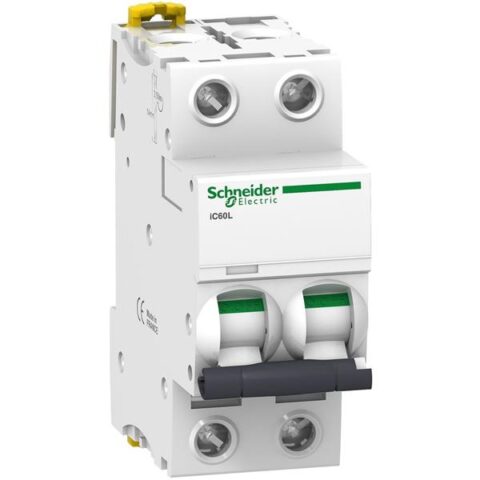 Disjonteurs 6ka iC60L 2P 10A  C Schneider Distribution