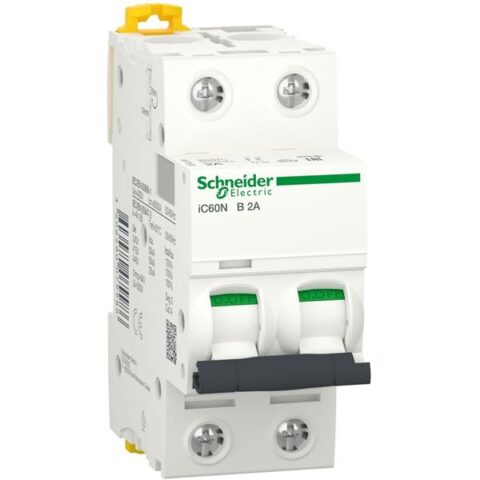 Disjonteurs 6ka iC60N 2P 2A B Schneider Distribution