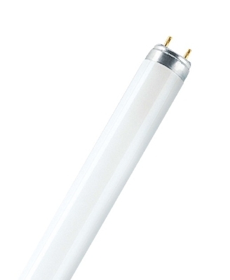 Lampes T8 L 36W/830 OSRAM