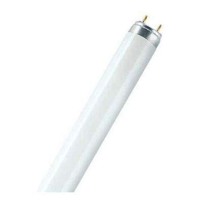 Lampes T8 L 36W/840-1 OSRAM