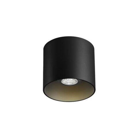 Spot apparent 230V RAY CEILING 1.0 PAR16 noir WEVER & DUCRE