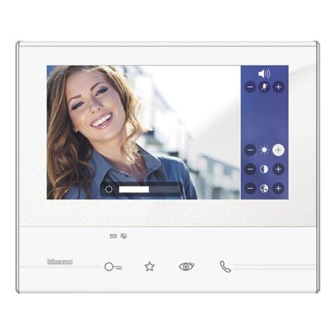 Videophonie Classe 300 V13E Moniteur d Couleur